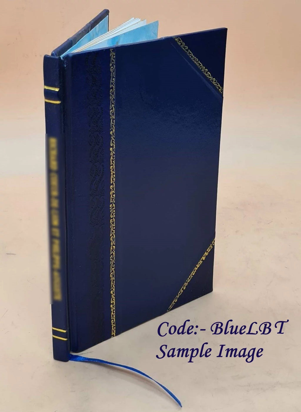 Literary Institute Essay and Poem Leather Bound R4465