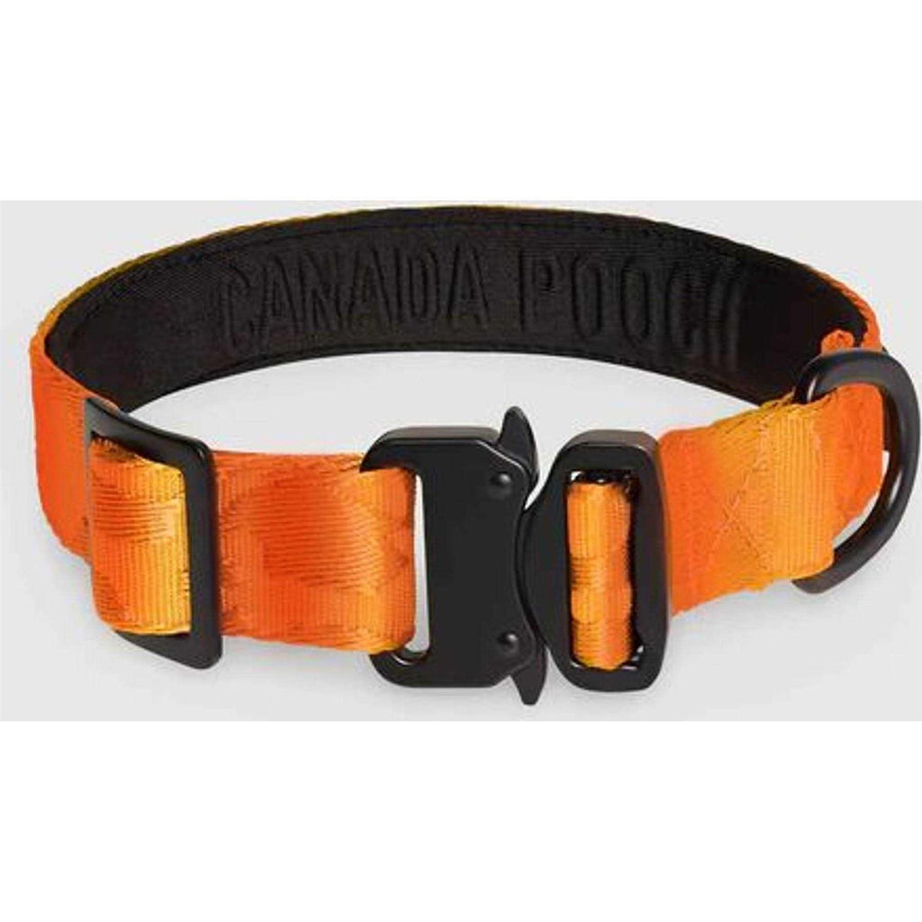 Utility Dog Collar U185489
