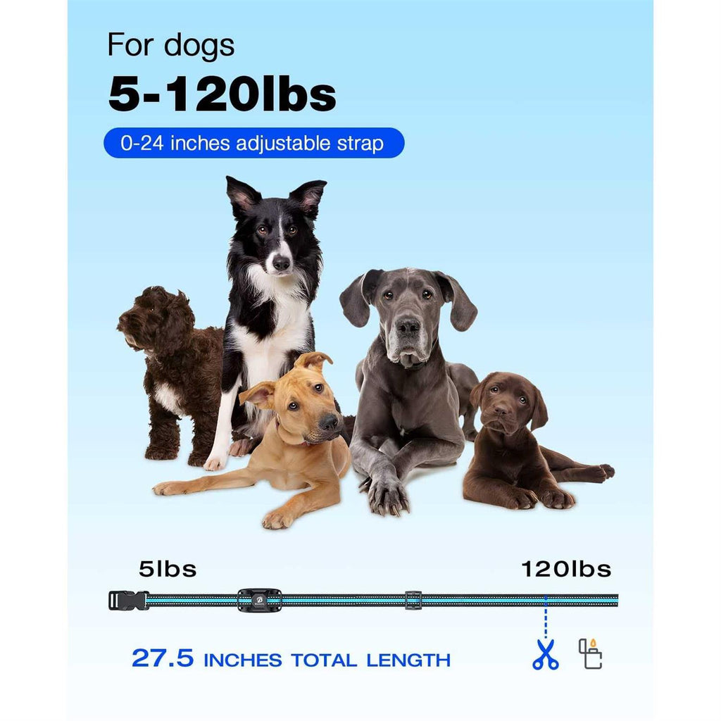 Rechargeable Dog Training Collar with Remote T20741
