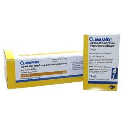 Clavamox Drops X699238