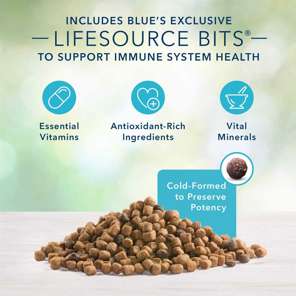 Grain-Free Indoor Adult Dry Cat Food C4982