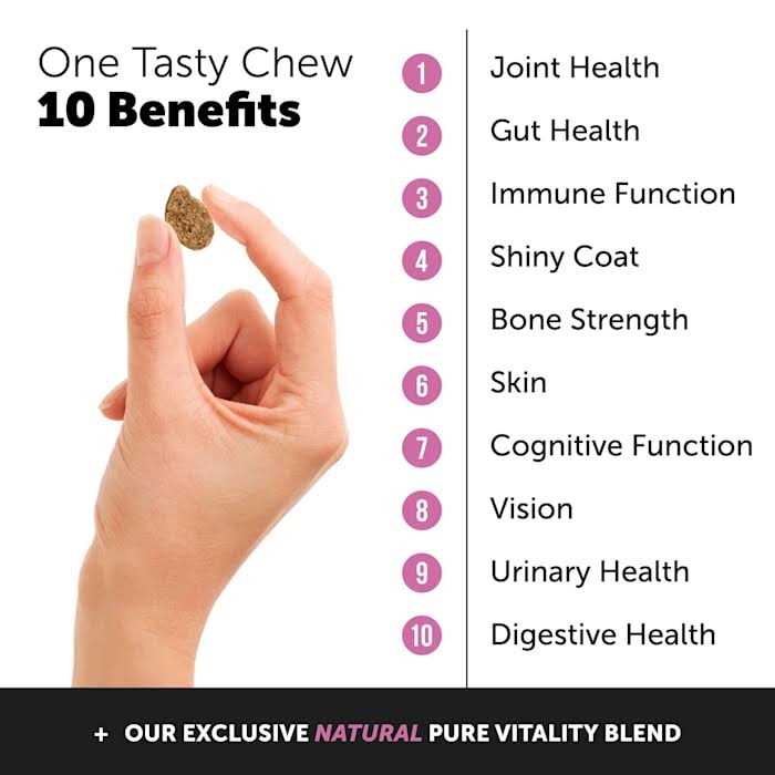 Dog Multivitamin Glucosamine Soft Chews O231