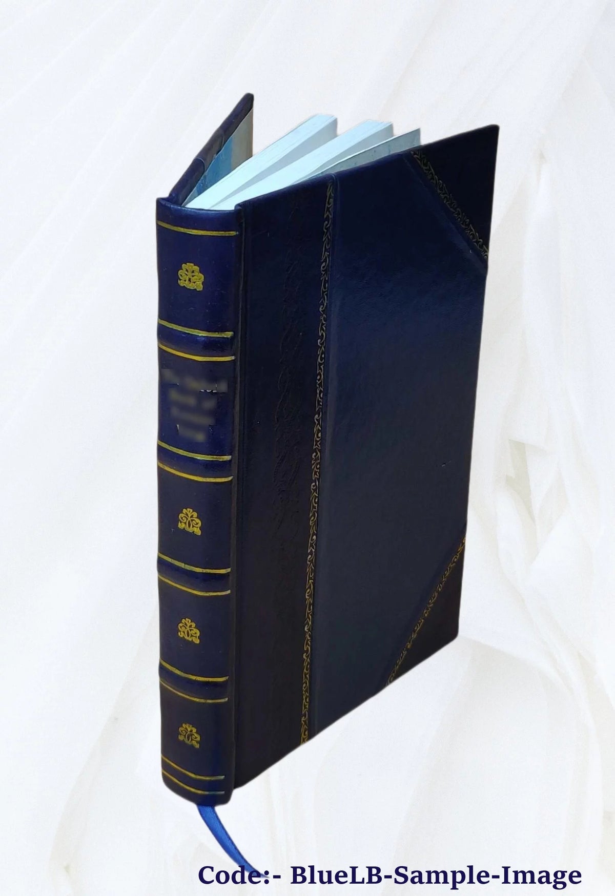 Leather Bound Tale of Real Life O746448