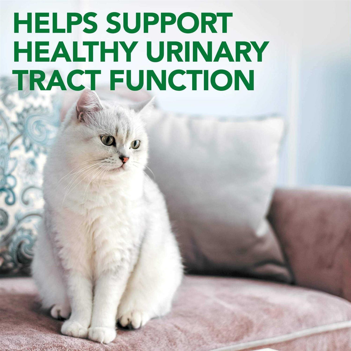 Urinary Tract Support T1481