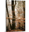 Photographic Print Canvas 30x22 H x 20x22 W G21341