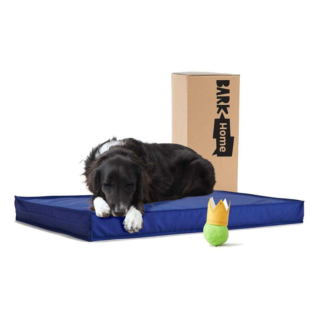 Waterproof Dog or Cat Mattress Bed with Removable Cover B82182