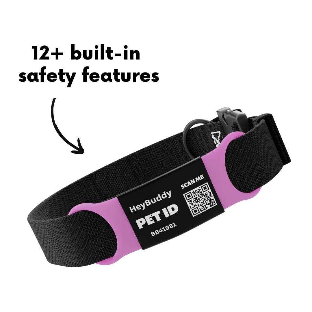 Noiseless QR Code Pet Tag G770815