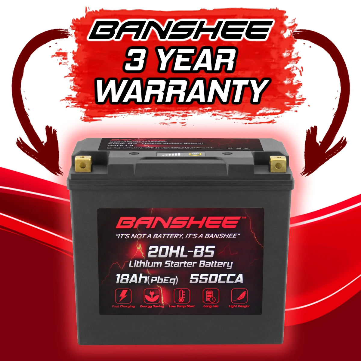 LiFePO4 Motorsports Battery Q42921