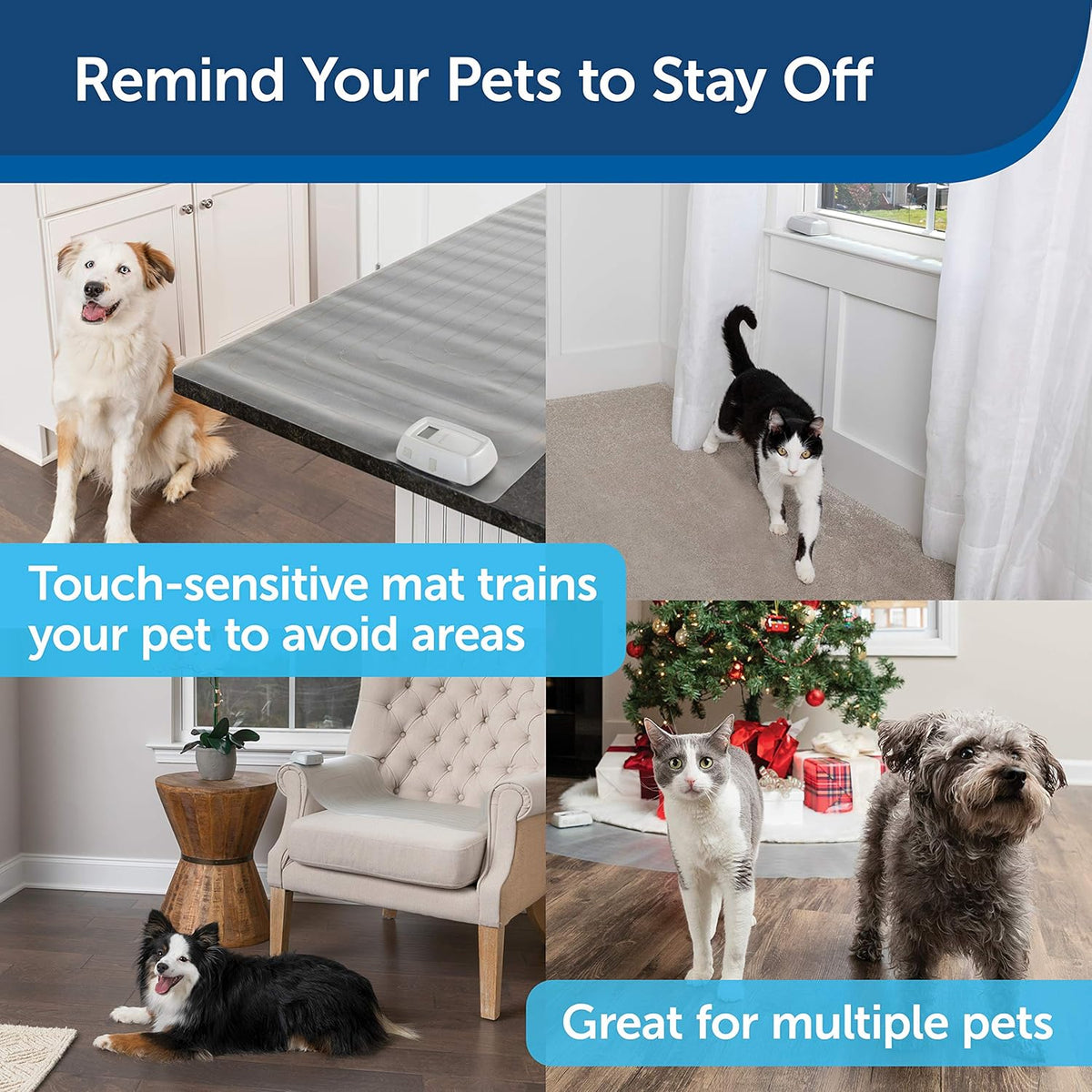 Indoor Pet Training Mat, 7 Adjustable Modes Q881