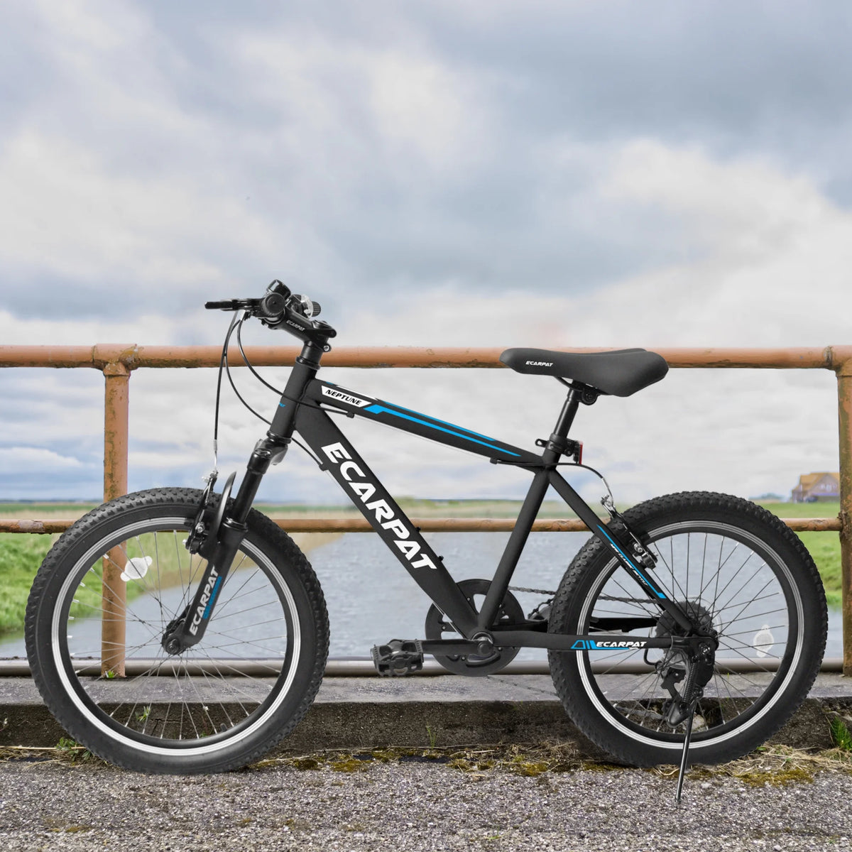 20 Inch 7 Speed Kids Bike Q518129