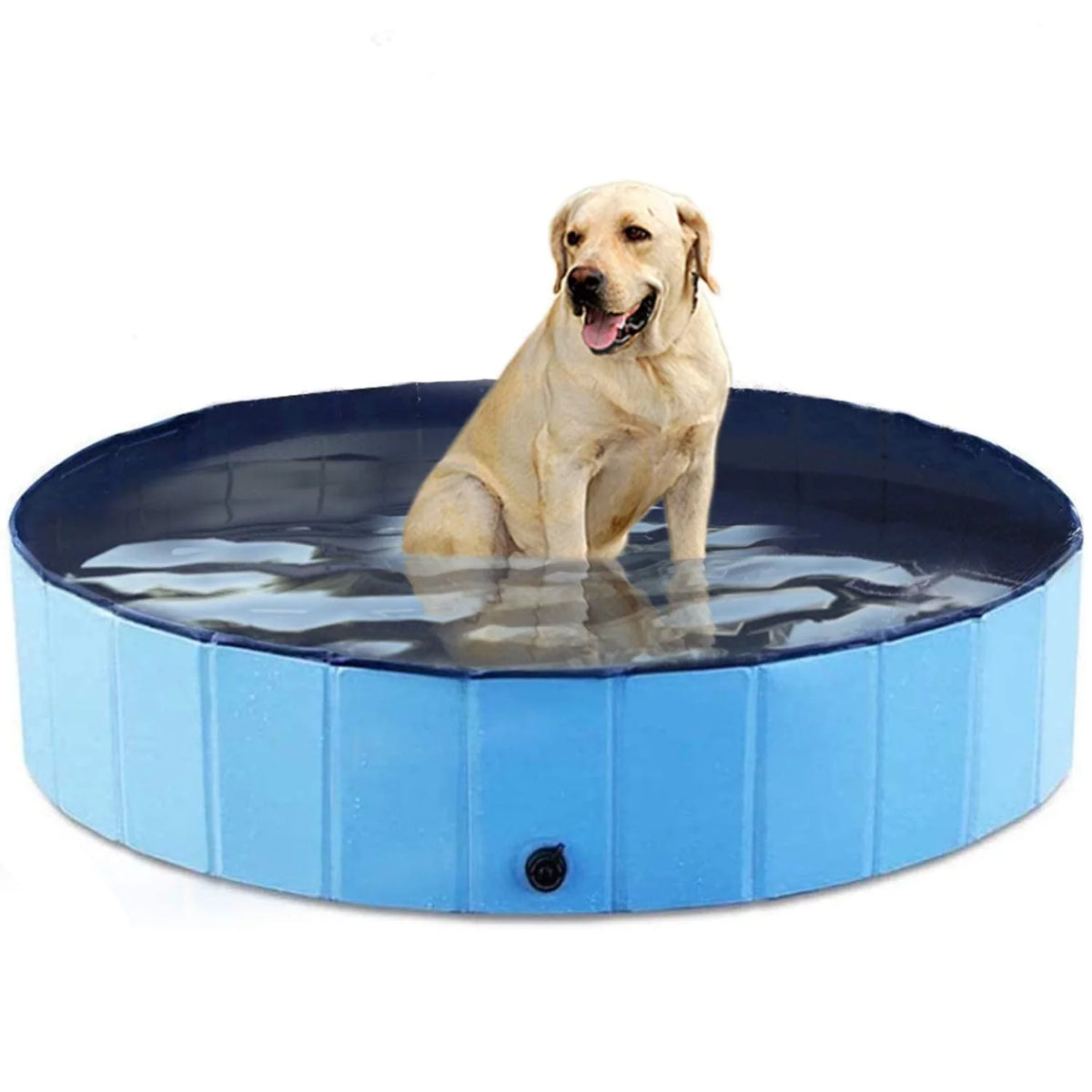 Blue 48 x 12 inch Collapsible Pet Pool Y6827