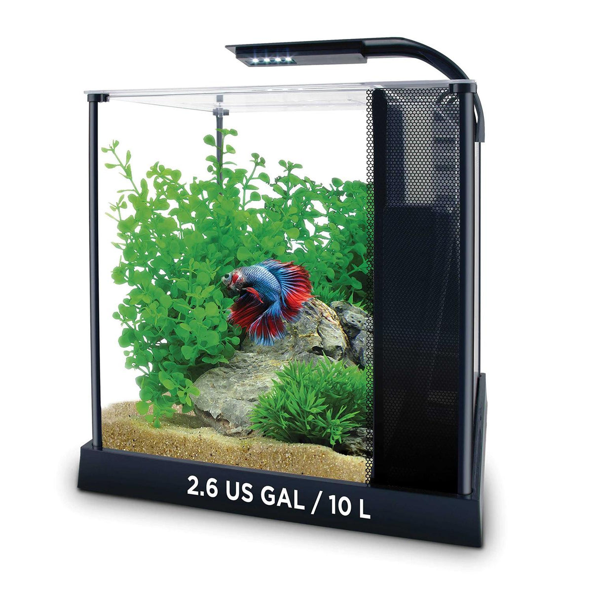 Betta Kit M989