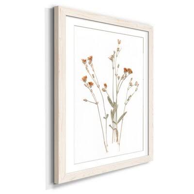 Pressed Botanical I Print White 32x22 J125162