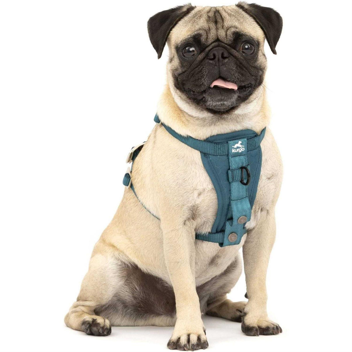 Dog Harness Z926