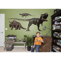 Dinosaurs Wall Decal A637023