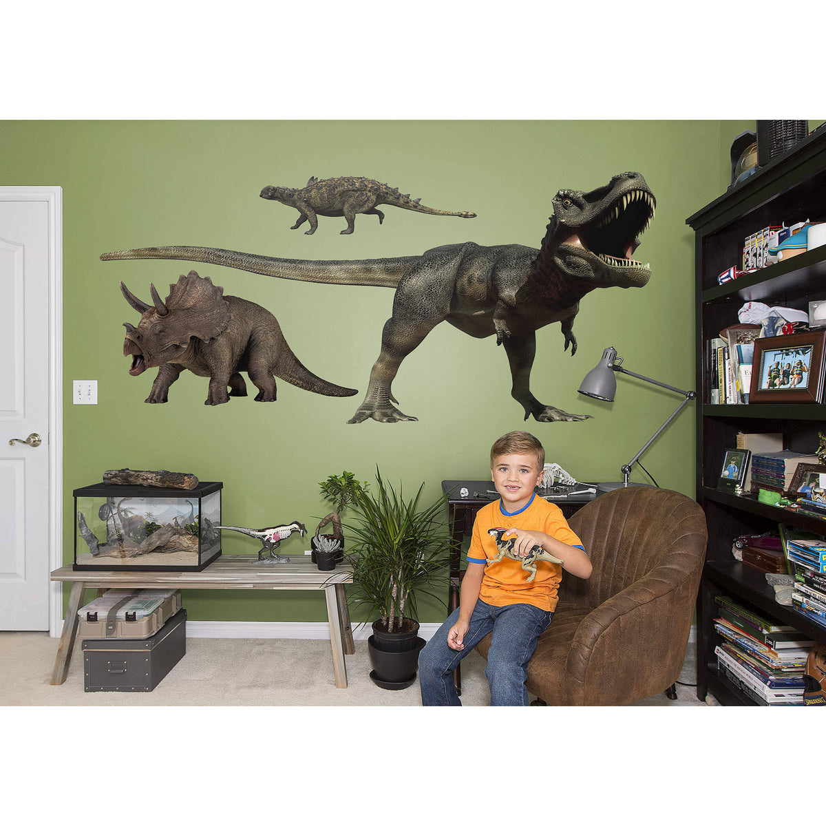 Dinosaurs Wall Decal A637023