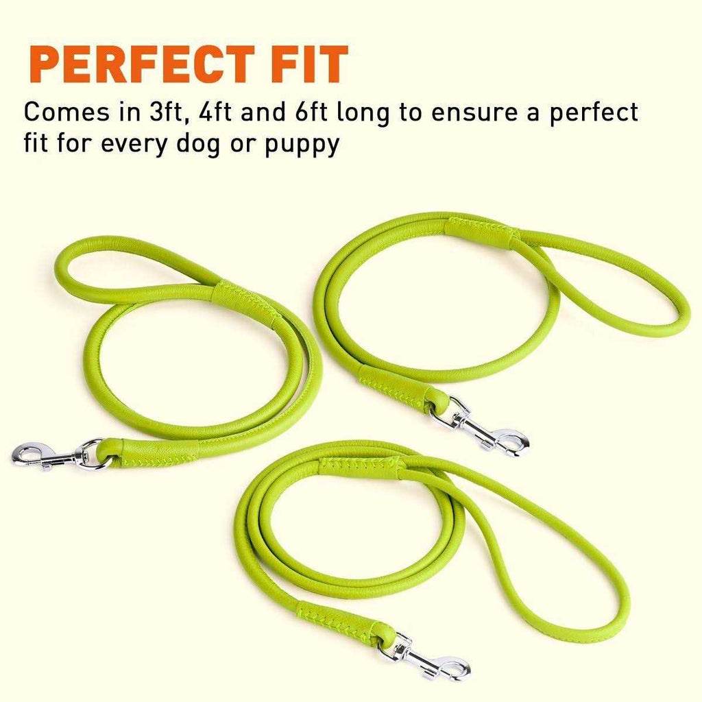 Soft Leather Round Leash B799251