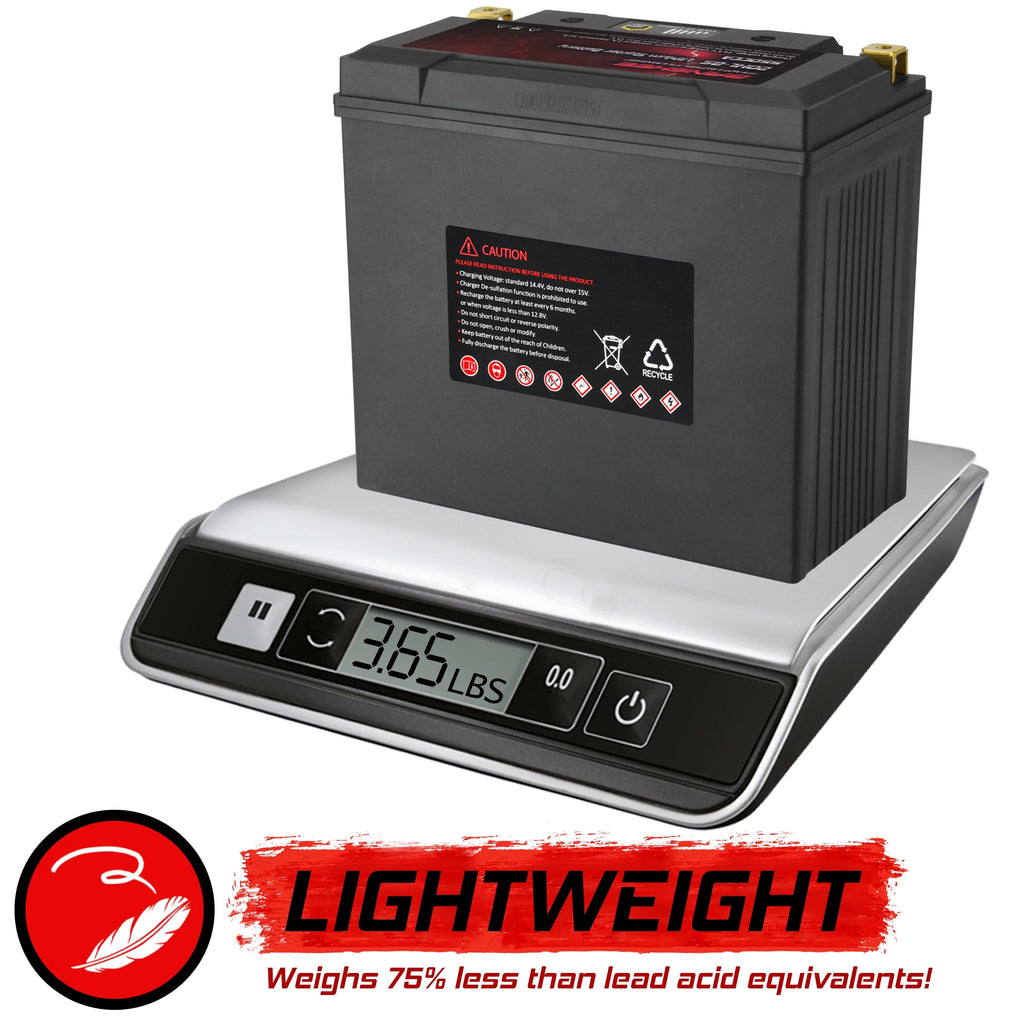 LiFePO4 Motorsports Battery Q42921