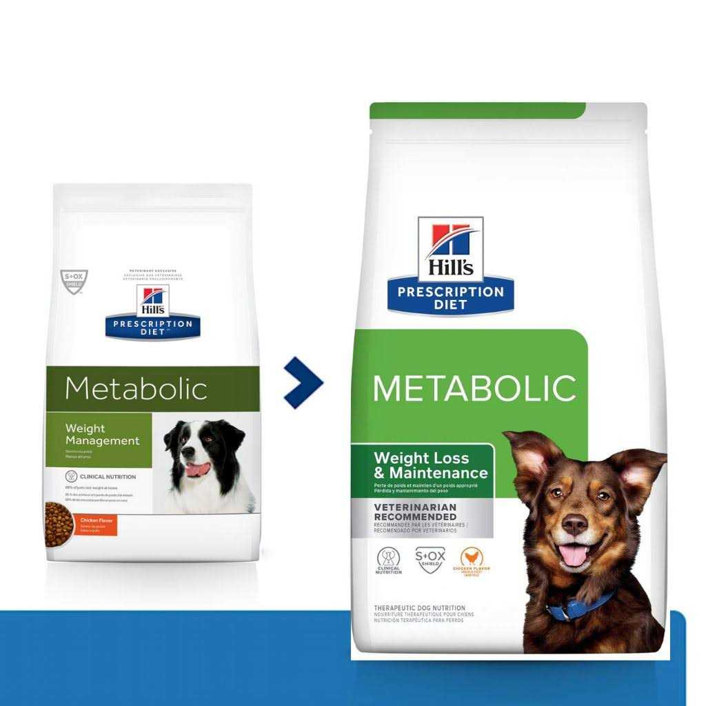 Canine Metabolic P636615