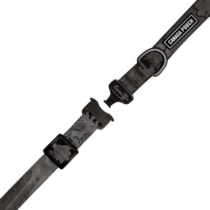 Utility Dog Collar U185489