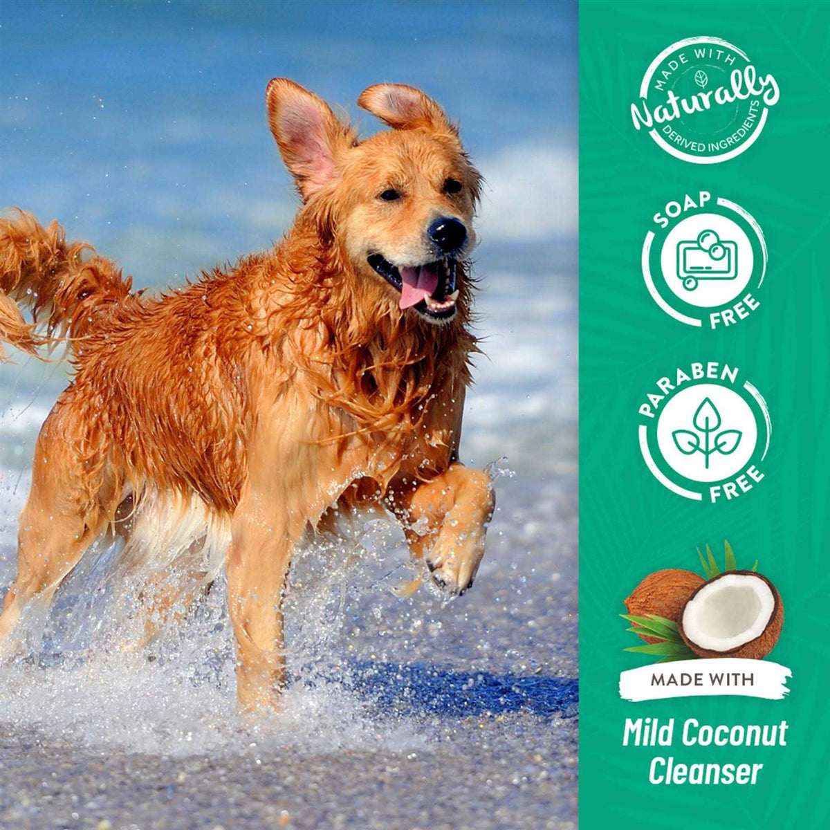 Whitening Awapuhi & Coconut Shampoo C36637