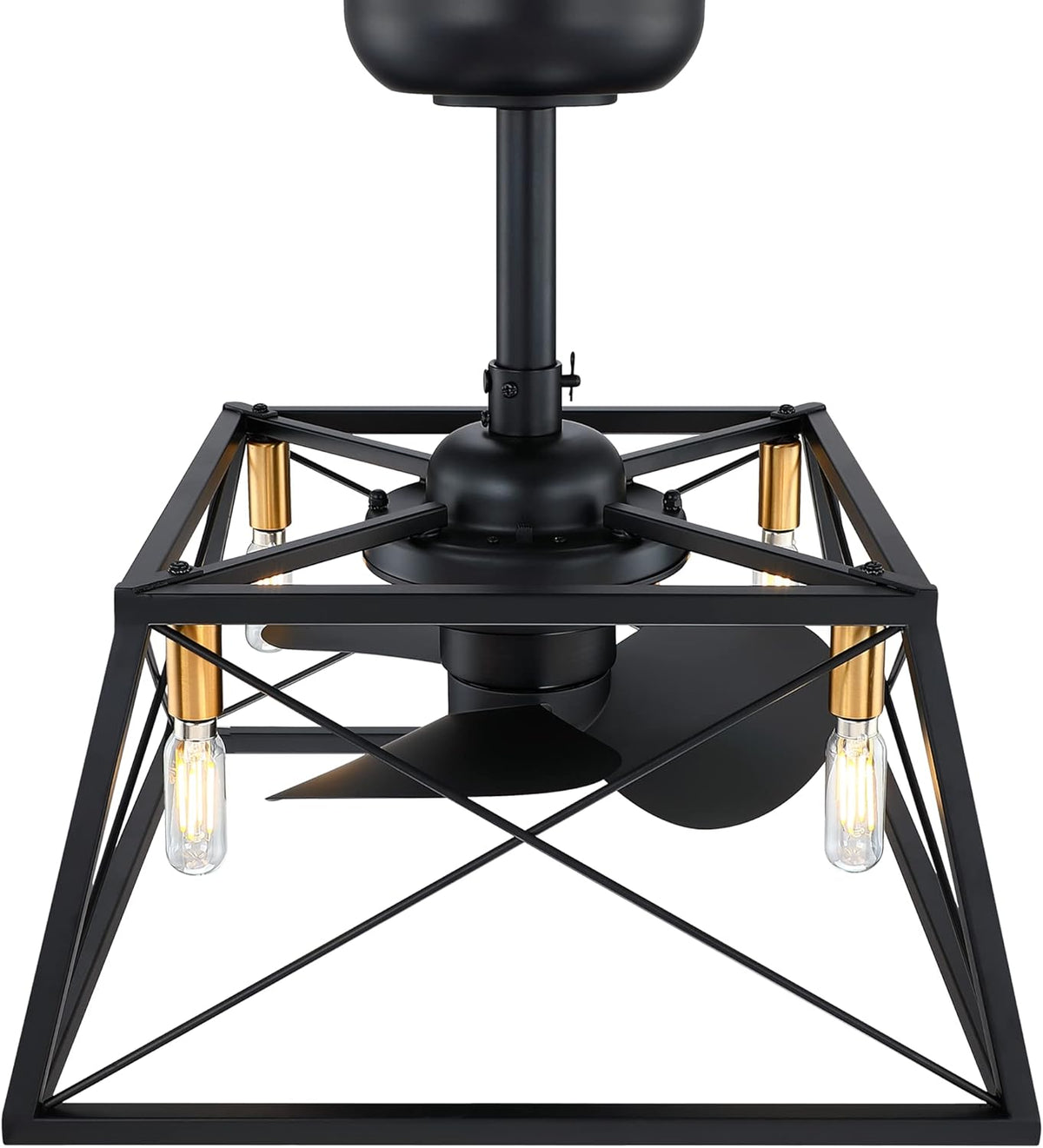Black and Gold Caged Ceiling Fan with LED Light Kit R942372
