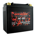 Lithium LiFePO4 Battery T7697