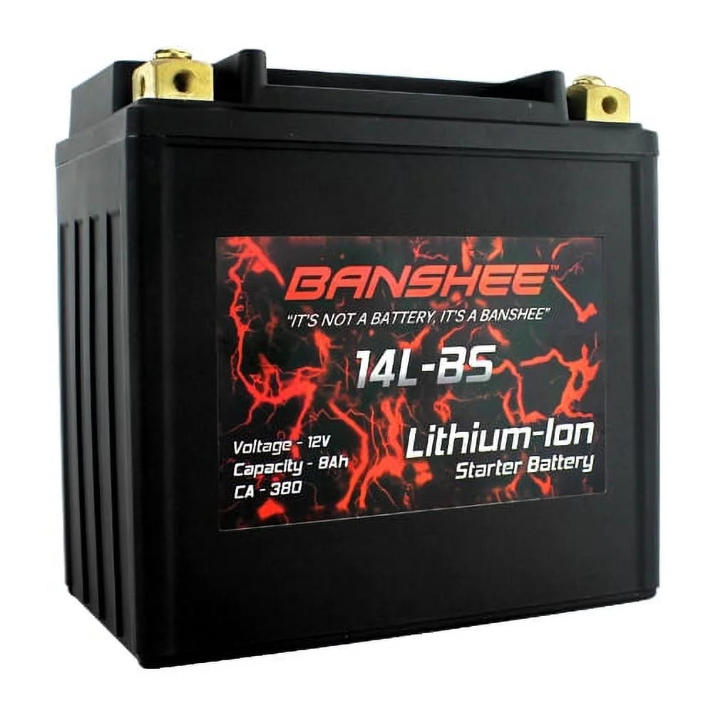 Lithium LiFePO4 Battery T7697