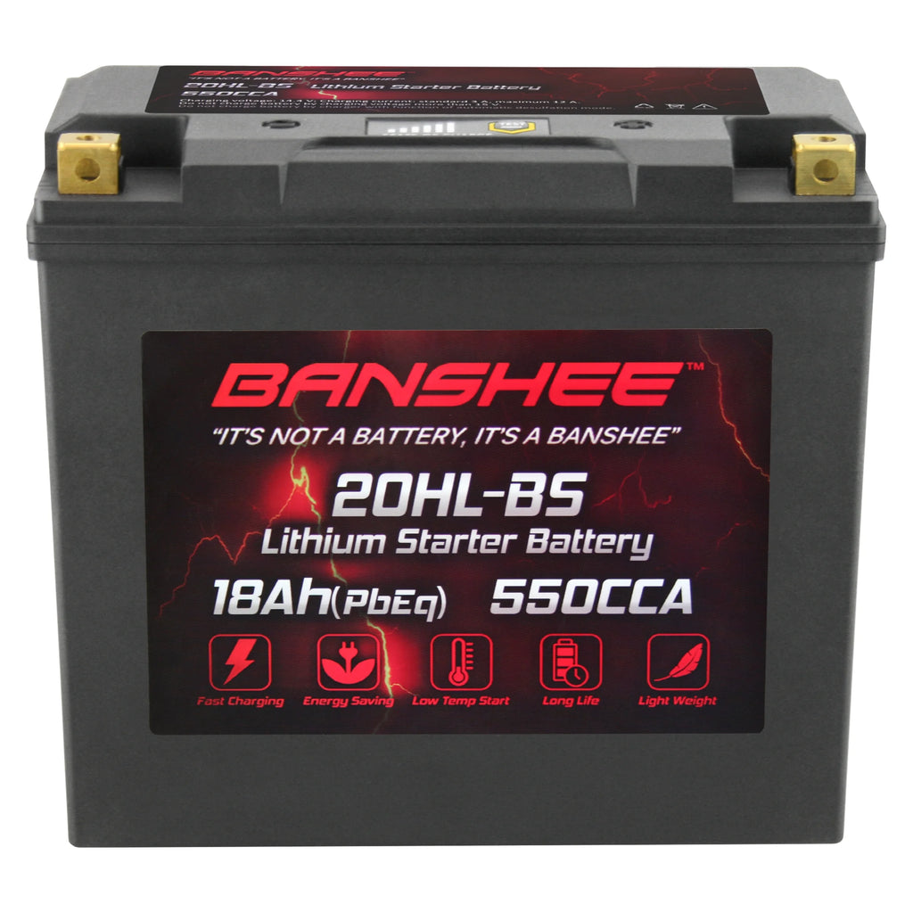 LiFePO4 Motorsports Battery Q42921
