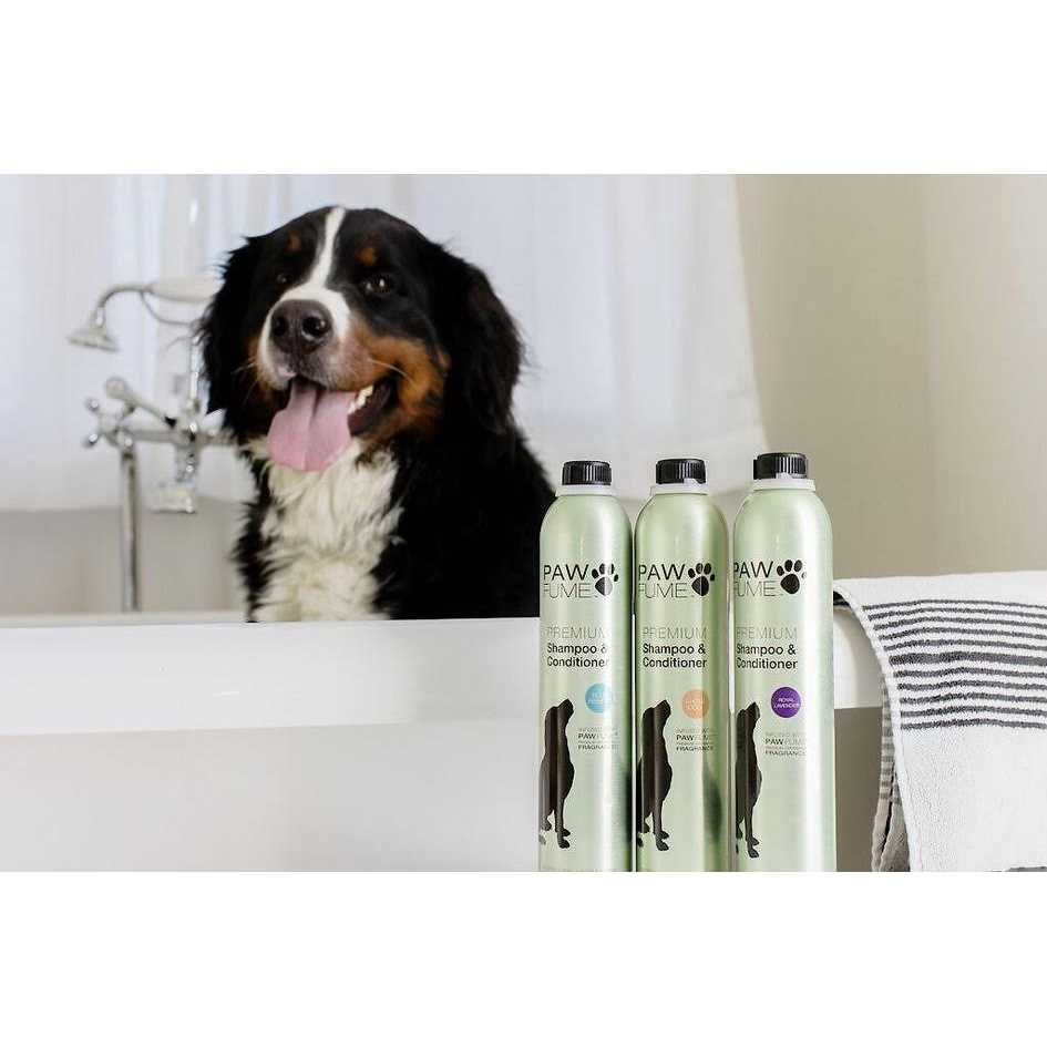 Hypoallergenic Dog Shampoo and Conditioner V765019
