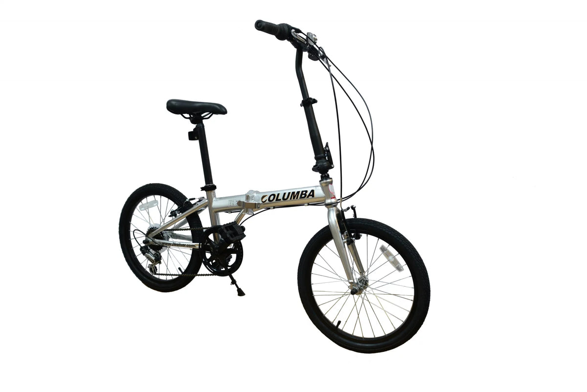Folding Bike Silver E833