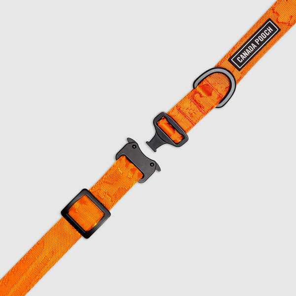 Utility Dog Collar U185489