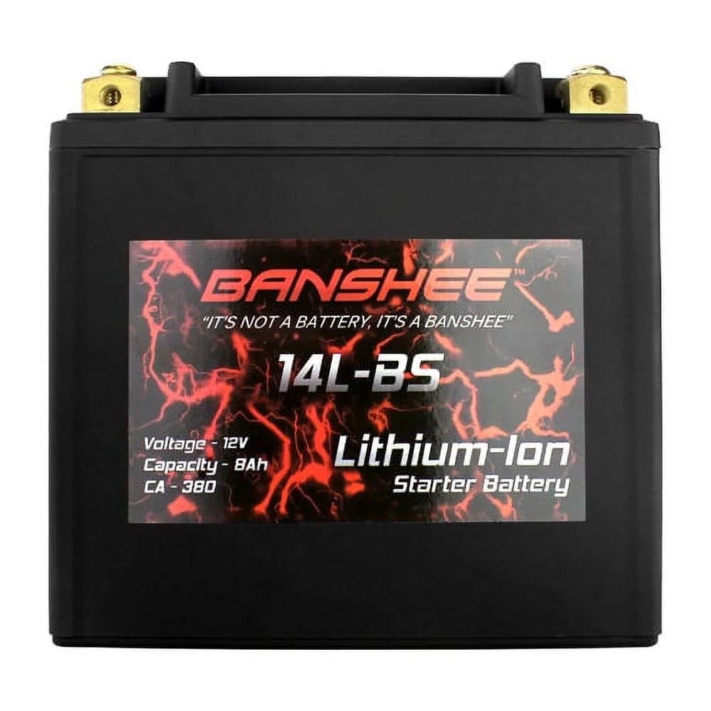 Lithium LiFePO4 Battery T7697