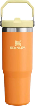 Marigold Stainless Steel 30 oz Flip Straw Tumbler G26810