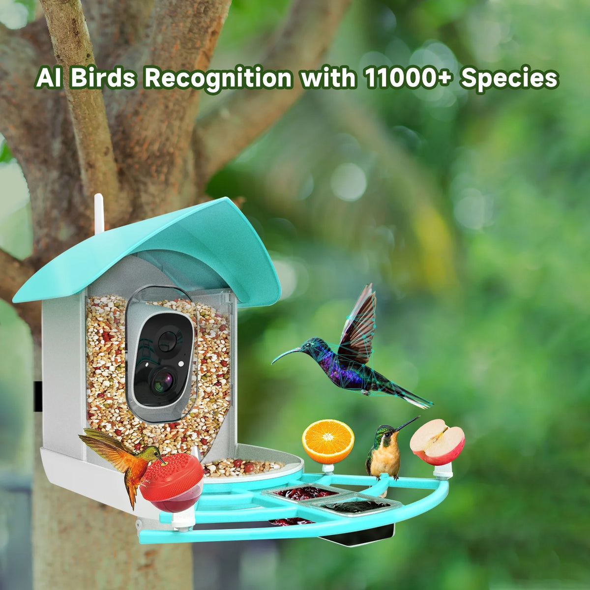 1080P Solar Powered Smart Bird Feeder with Camera X920