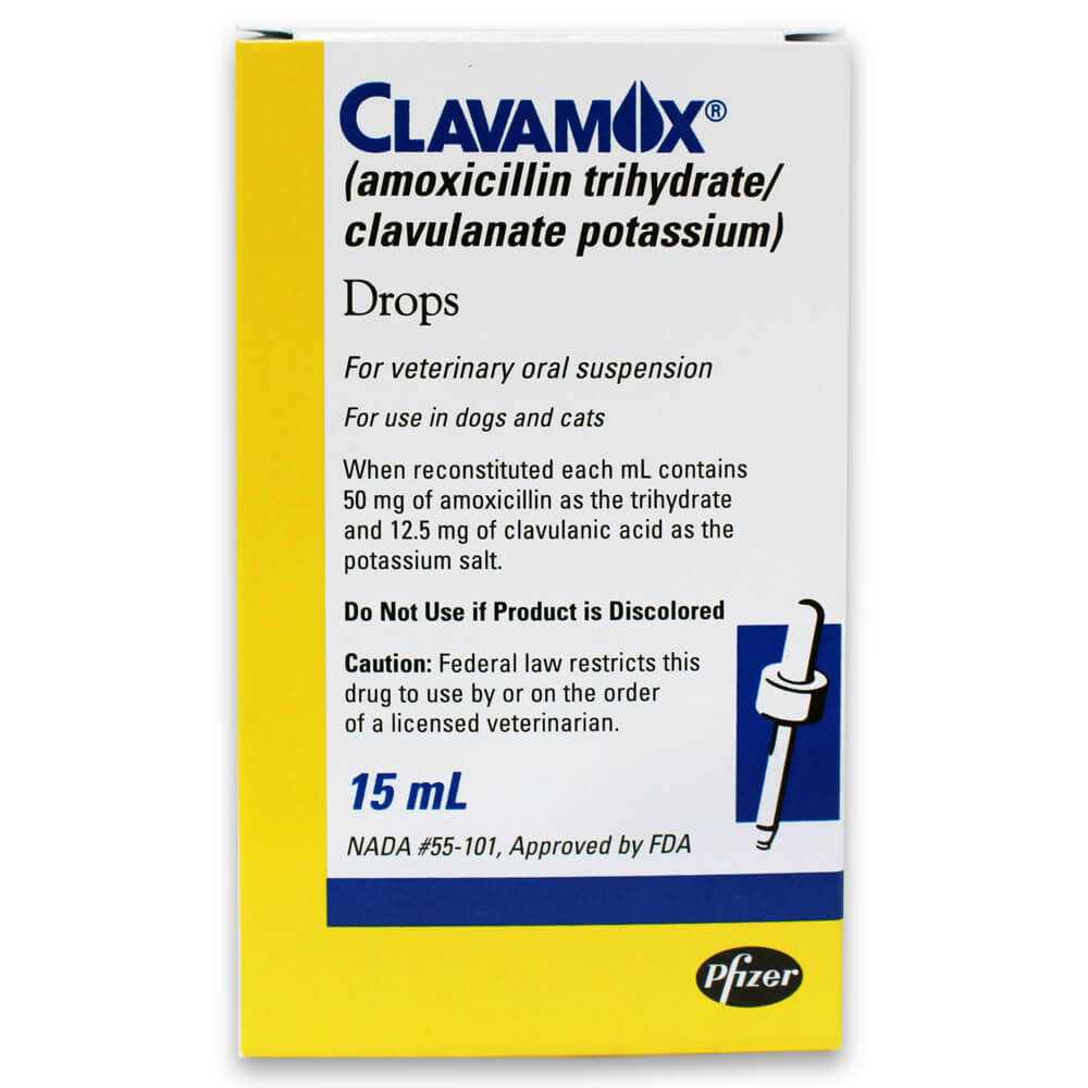 Clavamox Drops X699238