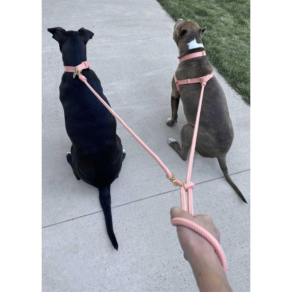Leash E931