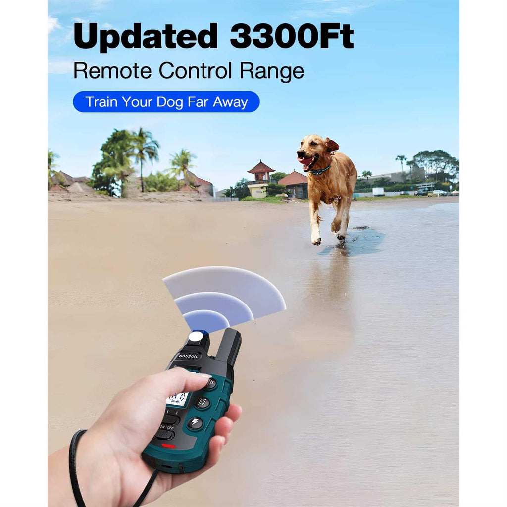 Rechargeable Dog Training Collar with Remote T20741