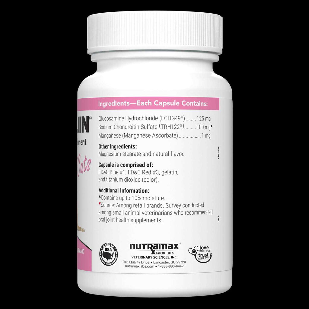 Cosequin for Cats W8905