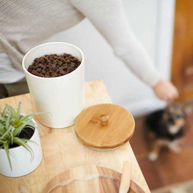 Melamine Dog & Cat Treat Jar with Bamboo Lid X592