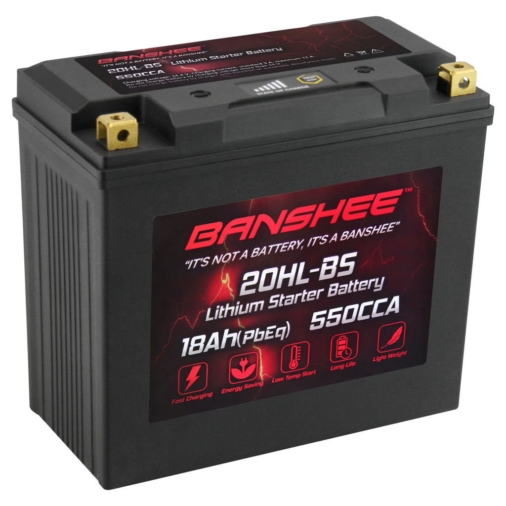 LiFePO4 Motorsports Battery Q42921