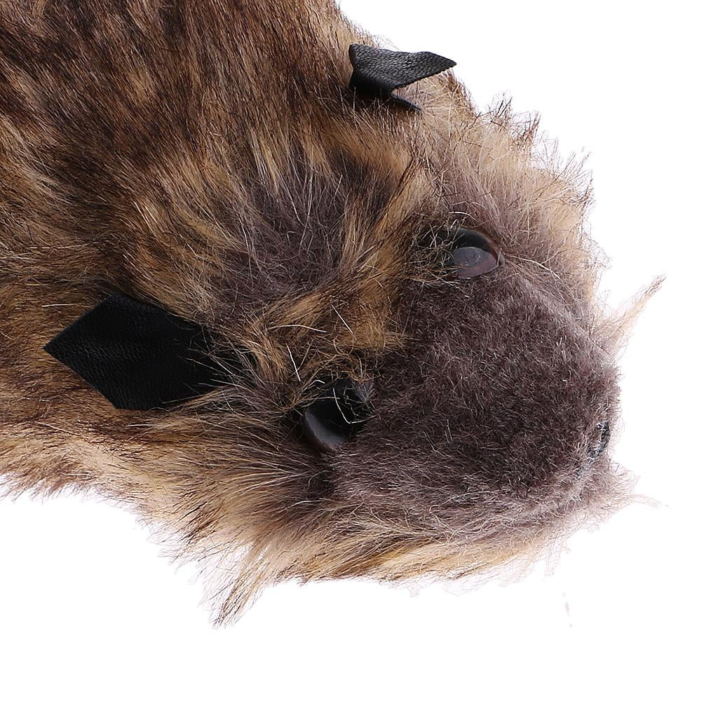 Raccoon Training W826480