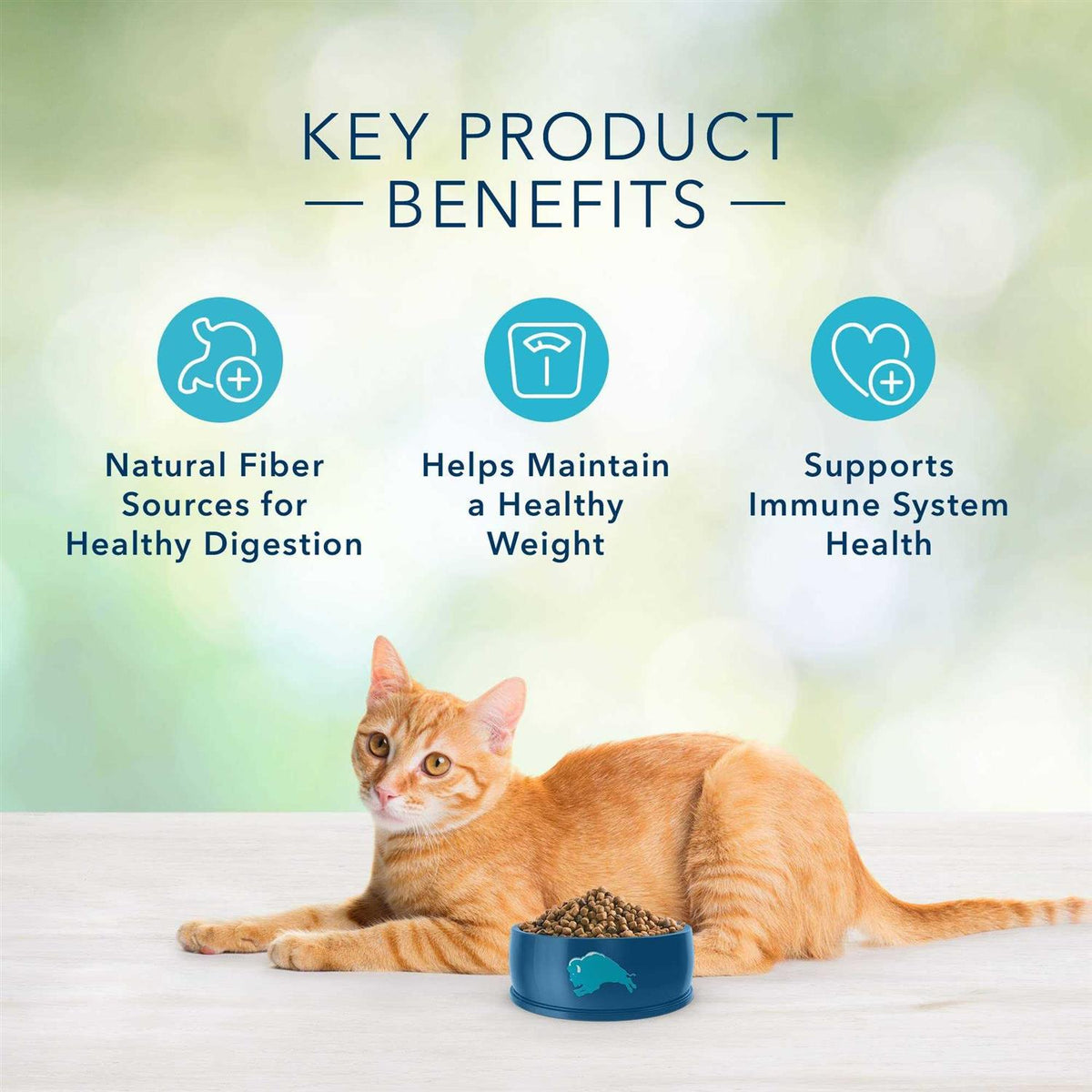 Grain-Free Indoor Adult Dry Cat Food C4982