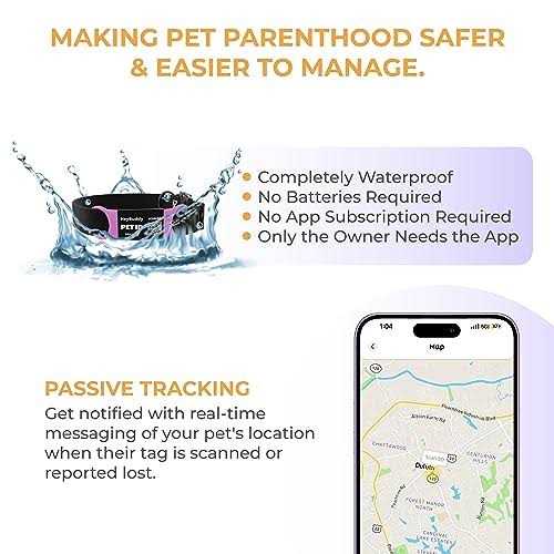 Noiseless QR Code Pet Tag G770815