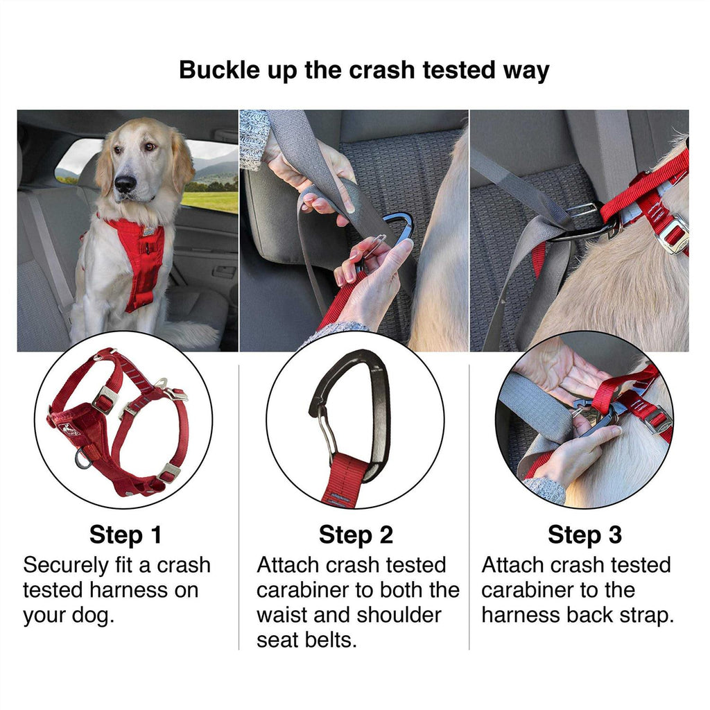 Dog Harness Z926